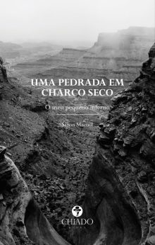 Uma pedrada em charco seco