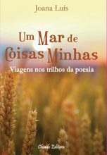Um Mar de Coisas Minhas