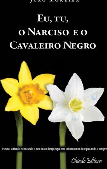 Eu, Tu, o Narciso e o Cavaleiro Negro