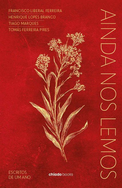 Ainda nos lemos - Escritos de um ano