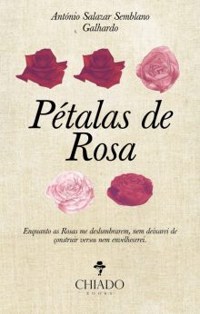 Pétalas de rosa