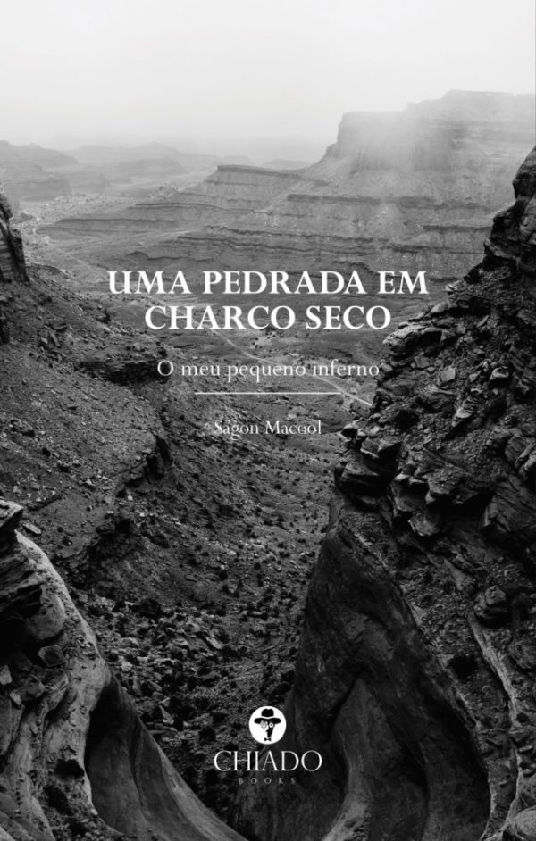 Uma pedrada em charco seco